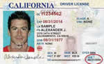Image of California's Driver's License
