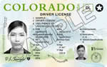 Image of Colorado's Driver's License
