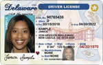 Image of Delaware's Driver's License