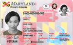 Image of Maryland's Driver's License