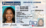 Image of Pennsylvania's Driver's License