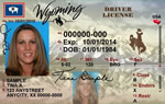 Image of Wyoming's Driver's License